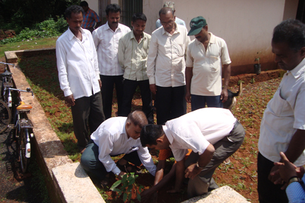 Amboli Vruksha Sunverdhan 13
