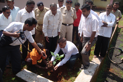Amboli Vruksha Sunverdhan 9