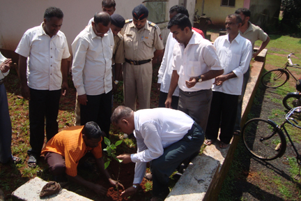 Amboli Vruksha Sunverdhan 11
