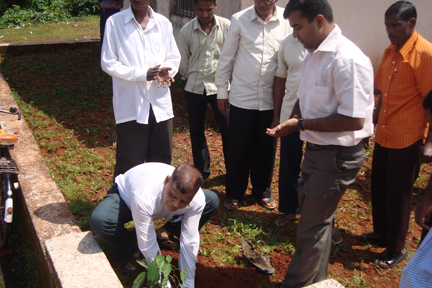 Amboli Vruksha Sunverdhan 12