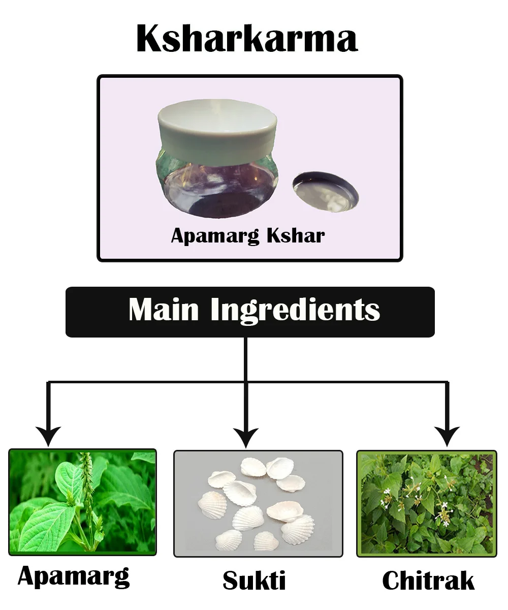 Ksharkarma main ingredients — Apamarg, Sukti, Chitrak
